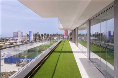 New home development: Sierra Blanca Tower by Sierra Blanca Estates